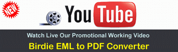 Watch Animated Video of Windows EML to PDF Converter @ YouTube - Working Guide